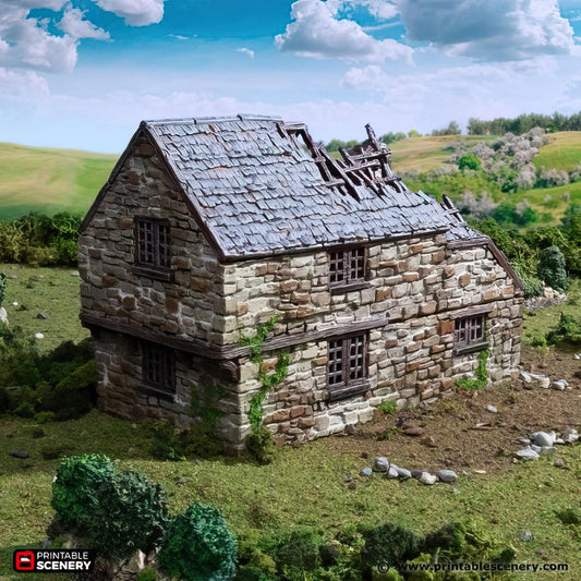 Ruined Hollyhock Cottage