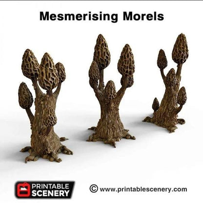Mesmerizing Morels