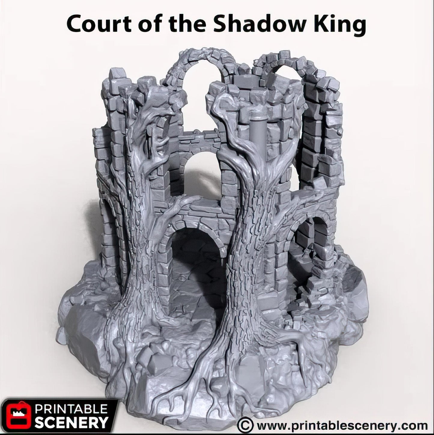 Court of the Shadow King