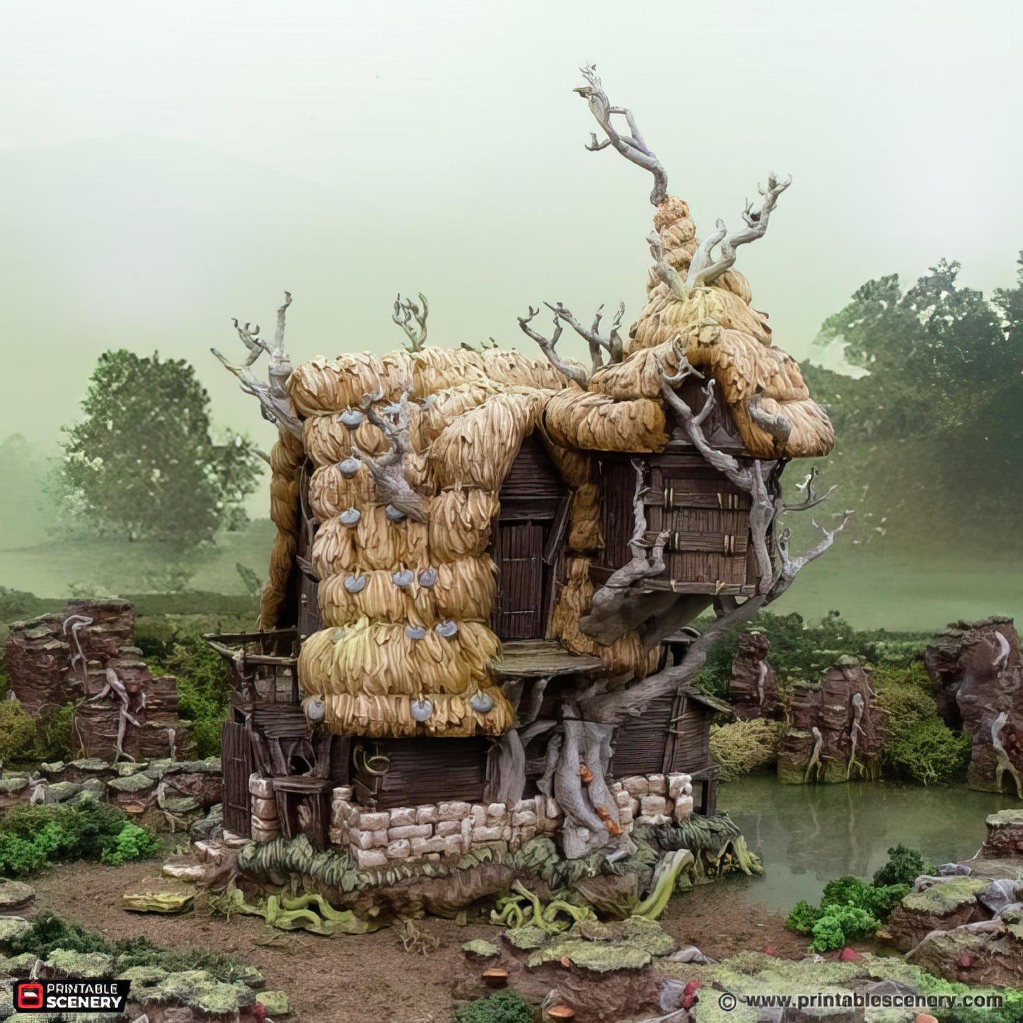 Swamp Hut