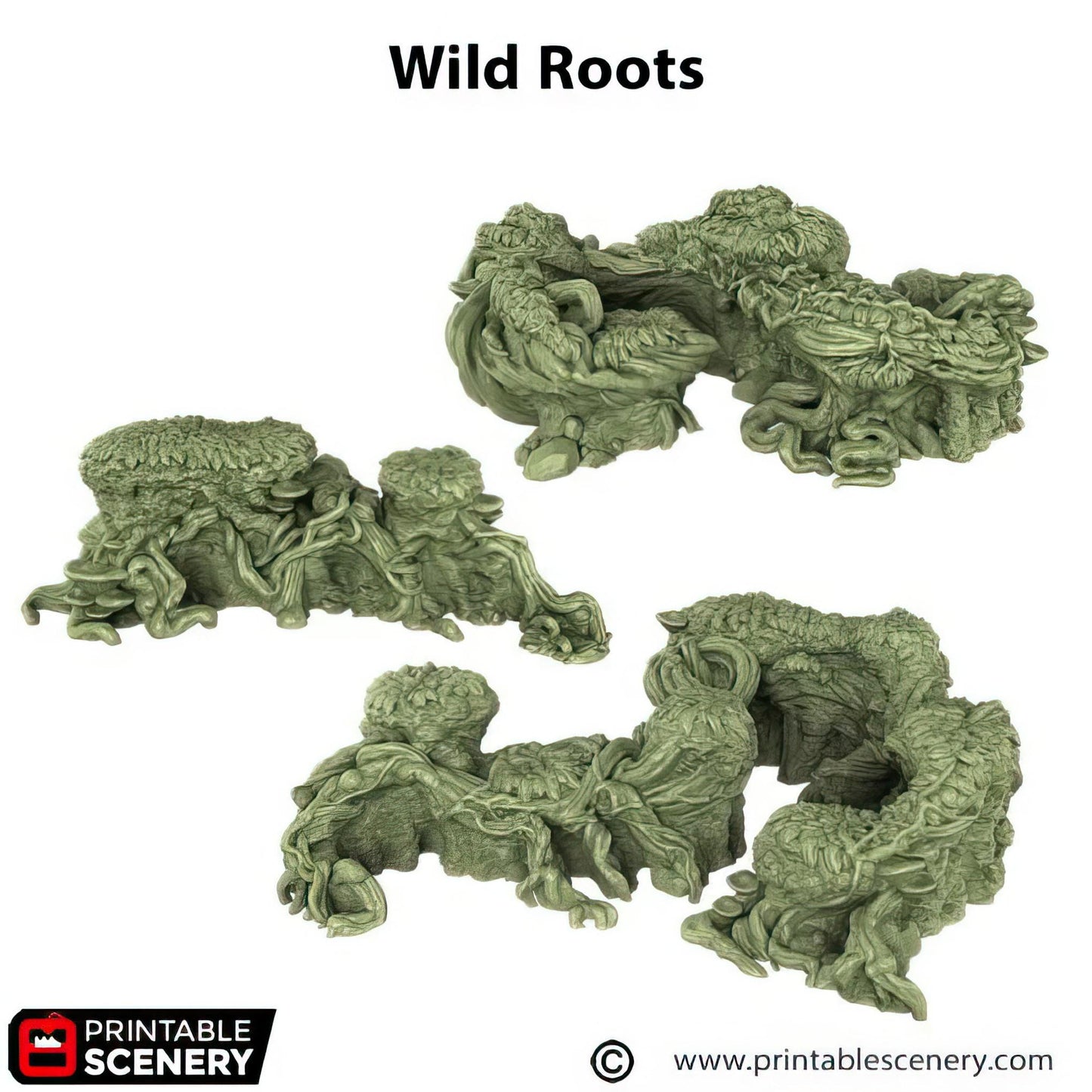 Wild Roots