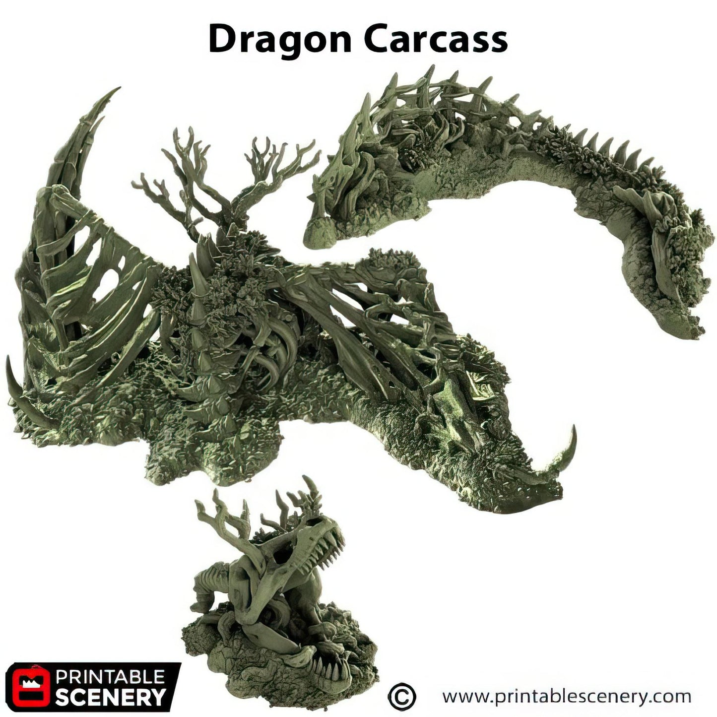Dragon Carcass